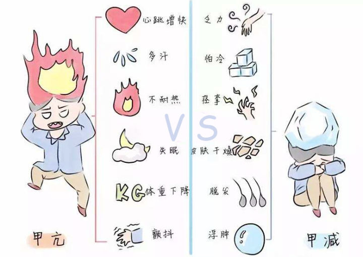 乐竞官网-乐竞(中国)一站式体育服务